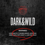 bts - 1st full album dark & wild