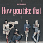 blackpink - [how you like that] single album special edition - Image 3