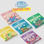 red velvet - ‘the reve festival’ 2022 birthday (digipack)