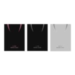 blackpink - [born pink] 2nd album box set random version